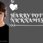 Harry Potter Nicknames - nicknames for harry potter fans