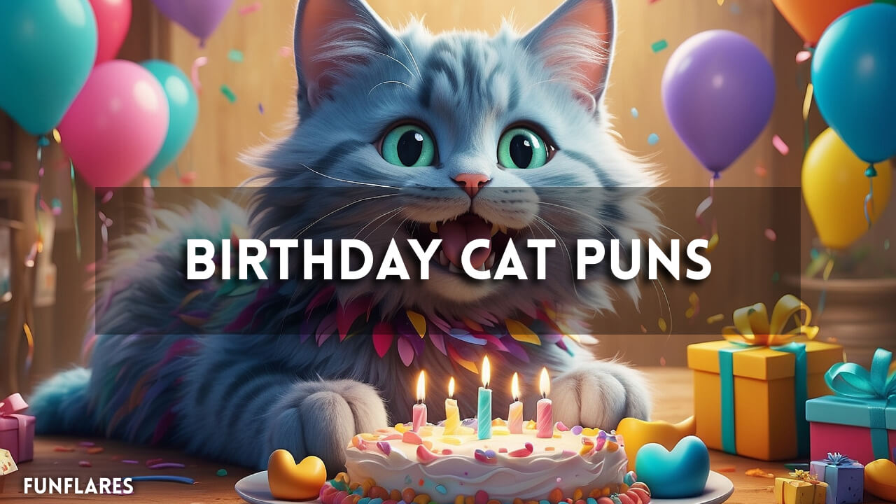 Birthday Cat Puns | 200+ Funny Puns To Celebrate Their B-Day