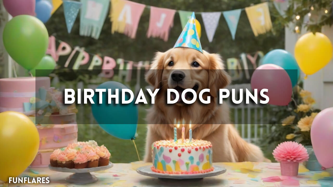 Birthday Dog Puns | 282+ Funny Birthday Puns You Can't Resist
