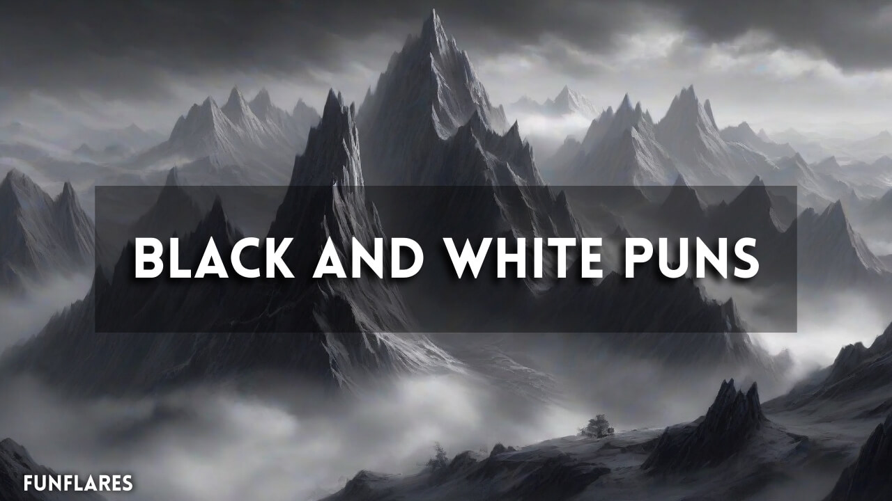 Black And White Puns | 200+ Funny Puns To Brighten Your Day