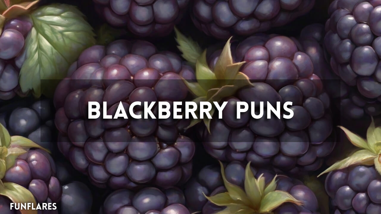 Blackberry Puns | 150+ Blackberry Puns To Make Your Day