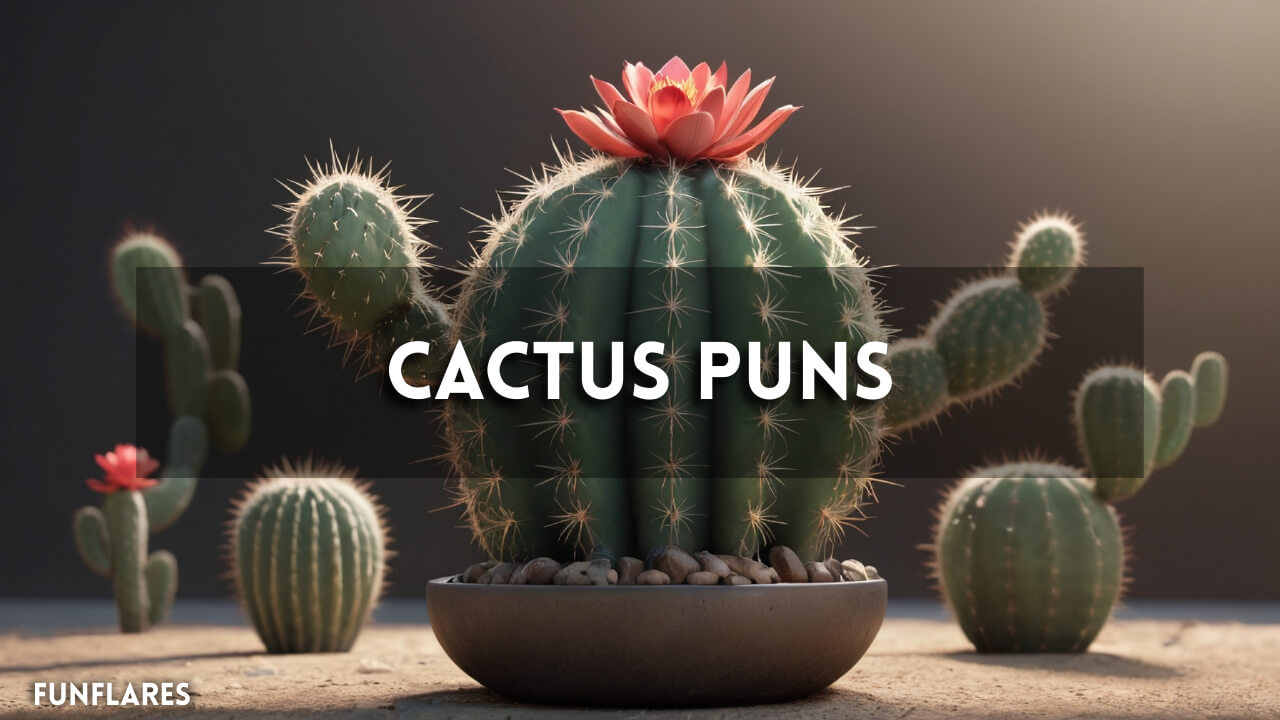Cactus Puns | 250+ Cactus Puns That'll Make You Smile