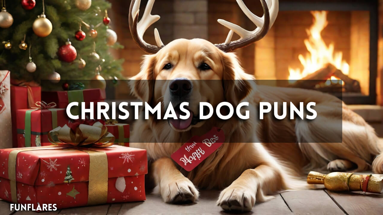Christmas Dog Puns | 200+ Holiday Dog Puns You’ll Love
