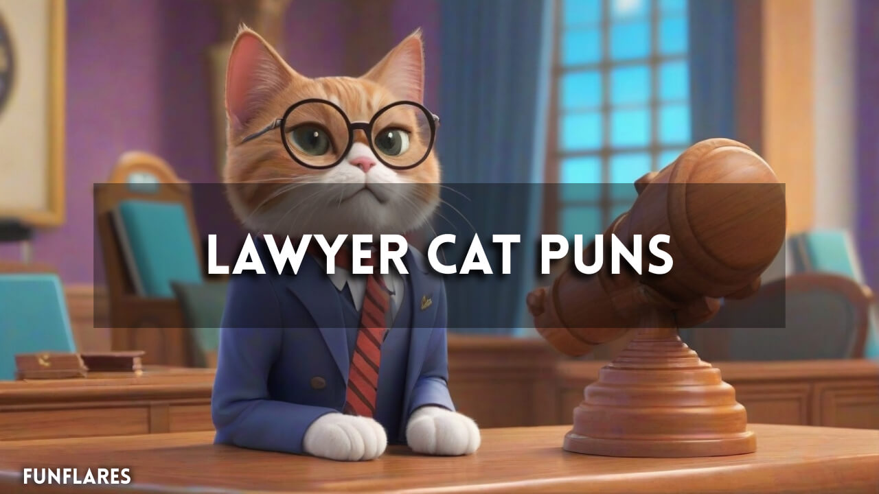 Lawyer Cat Puns | 75 Hilarious Puns To Brighten Your Day
