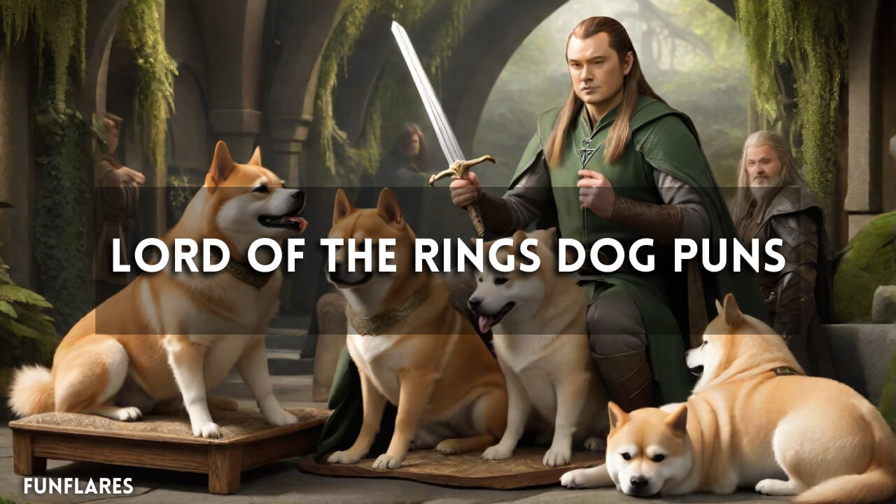 LOTR Dog Puns | Top Lord Of The Rings-Themed Pup Puns