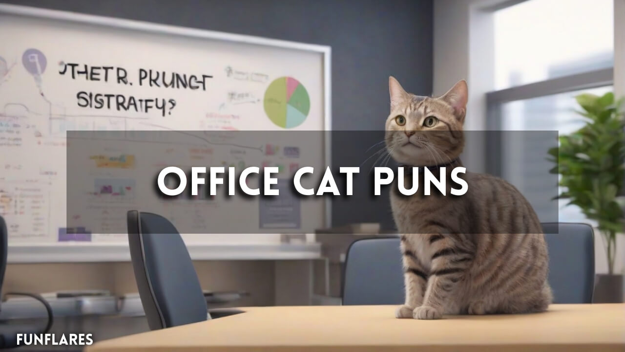 Office Cat Puns | 55+ Funny Office Cat Puns To Make Your Day