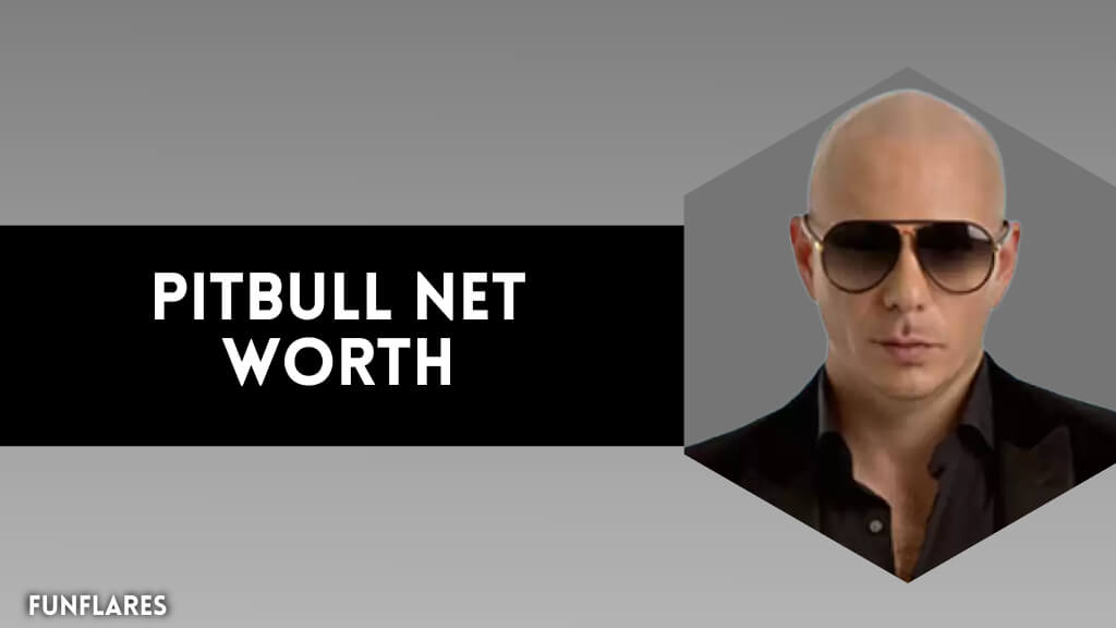 Pitbull Net Worth | How He Built His $100 Million Empire