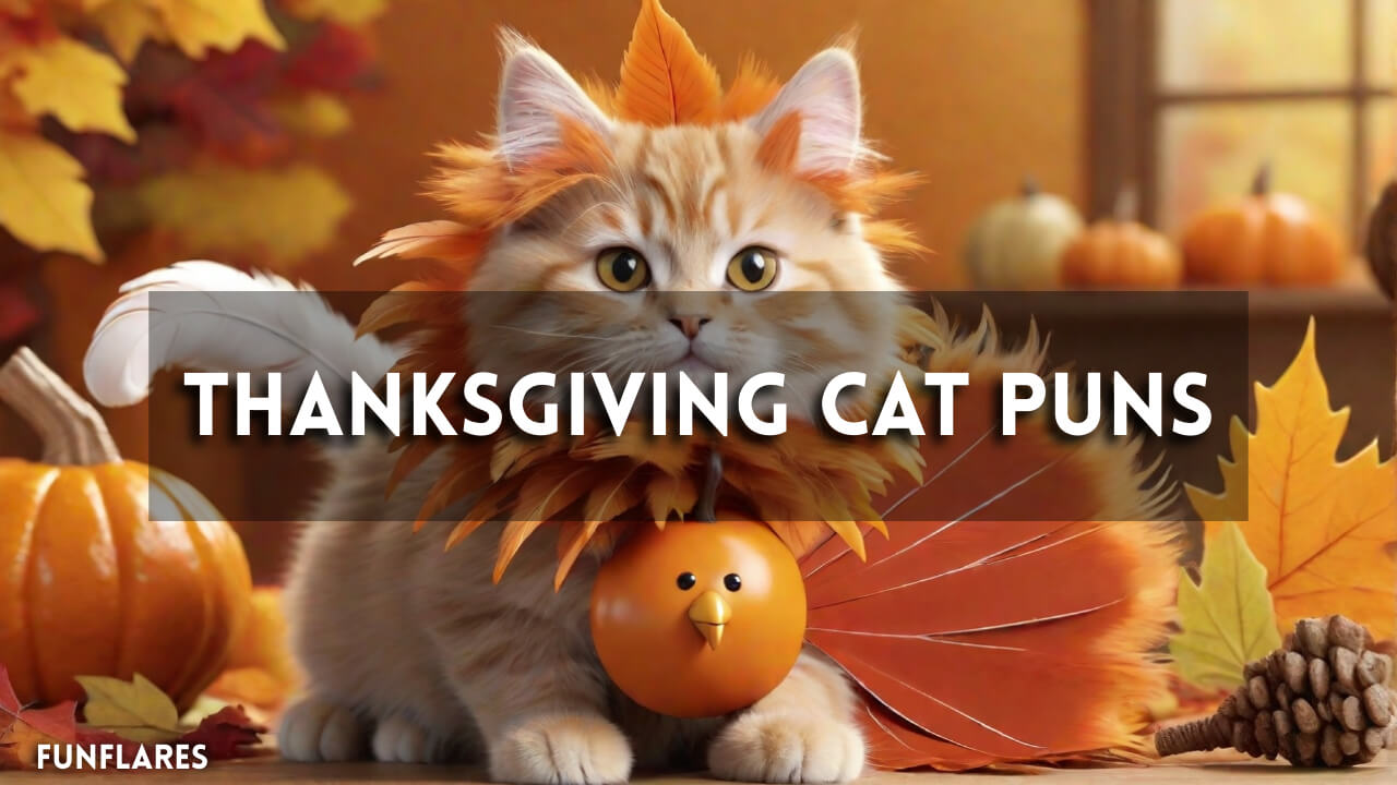 Thanksgiving Cat Puns | 166+ Puns To Make This Holiday Fun
