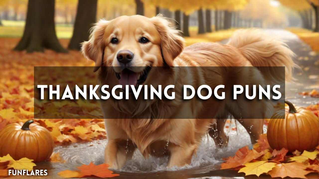 Thanksgiving Dog Puns | 202+ Funny Puns For Dog Lovers